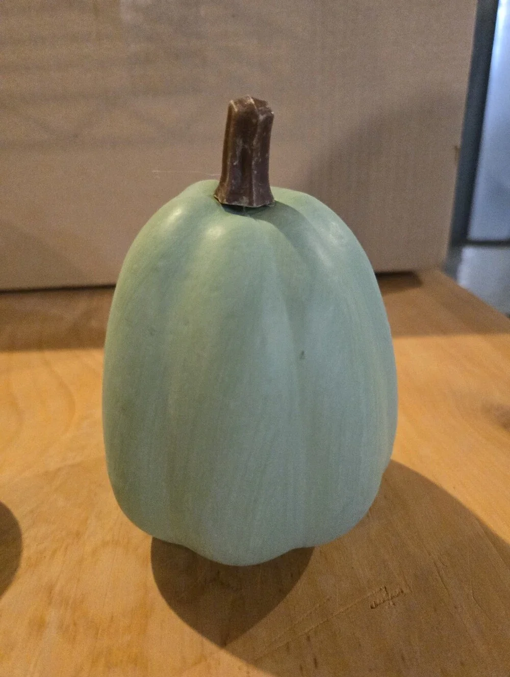 Target Home Accents White and Green Decorative Pumpkin Duo